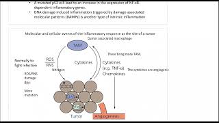 [Cancer Bio]ch13:inflammation and infection