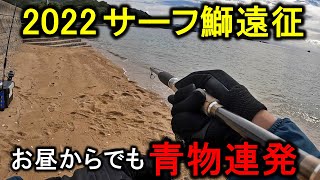 【2泊3日】朝マズメが終わっても青物が連発するサーフが凄すぎる…【サーフ鰤遠征】