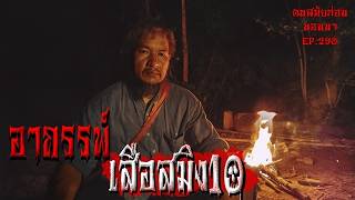 อาถรรพ์เสือสมิง10 | คนสมัยก่อนนอนนาEP.290