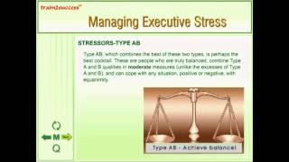 Presentation On Managing Executive Stress