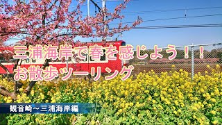 三浦海岸で春を感じよう！！ お散歩ツーリング 観音崎～三浦海岸編