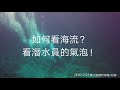 綠島｜石朗｜自由潛水｜餵魚秀｜浮潛｜玻璃海