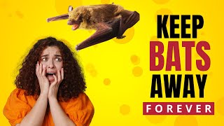 How To Get Rid of Bats Fast and Permanently (Humane Ways)