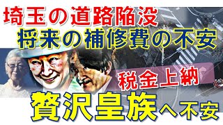 【もう３年目動画無収入でがんばってやりきしました】正式本編：贅沢皇族への不安払拭と国民の幸せを！