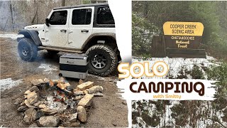 Camping In Coopers Creek WMA - Camping Adventure