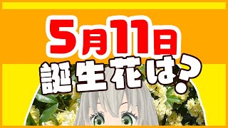 【花言葉】5月11日の誕生花は？／花白もか