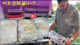 [ENG/KOR] 둥아빠 스크린도어 설치를? 달밤에 후다닥 치킨텐더 재고있는 둥엄마/Productive Day/ 미국아빠, 한국엄마, 혼혈 쌍둥이/ 미국일상 vlog