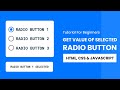 Find Which Radio Button is Selected Using Javascript