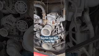 Tata Low Floor Rear Engine Bus #Cumminsengine #tatamotors #Tatamarcopolo #Truckspark