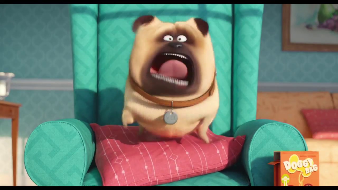 The Secret Life Of Pets Trailer - YouTube