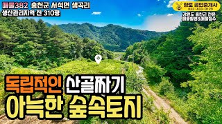 매물382 홍천 독립적인 산골짜기 아늑한 숲속 토지 310평 7800만원