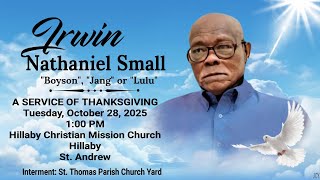 Celebrating the Life of Irwin Small
