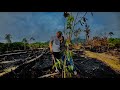 Mula menanam Buah Buahan Tempatan di Kebun baru.