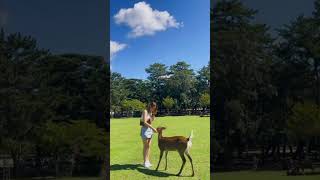 🦌奈良公园小鹿✈️日本大阪旅游喂梅花鹿#fun#travel#japan#deer#lovely#shorts