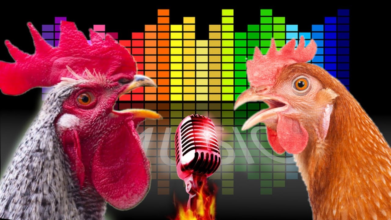 Funny Chicken Dance Meme At Marla Irby Blog