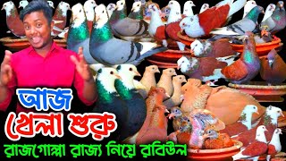 আজ খেলা শুরু রাজগোল্লা রাজ্য  মাথা নষ্ট কালেকশন নিয়ে রবিউল ভাই#কবুতর_বিক্রি_হবে