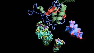 Proteíns- Introduction