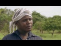 Shamba Shape Up Sn 6 - Ep 5: Cassava, Mangoes, Pest control (English)