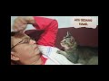 KUCING LUCU || Aku sedang Hamil||#youtube #kucing #islam #google #rahmatun #lilalameen #solawat