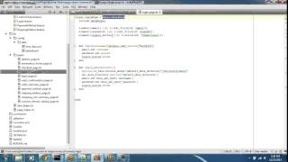 LoginScenario HybridFramework (seleniumframework.com)