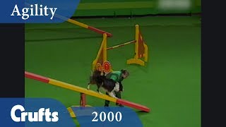 KCJO Agility Competition from Crufts 2000 | Crufts Dog Show