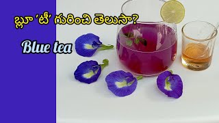 బ్లూ 'టీ' Blue tea ఒక్కసారి తాగి చూడండి.. నిజంగా అద్భుతం|Butterfly Pea tea|శంకుపుష్పం#bluetea