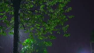 Rainstorm on Tree in Enchanted Jungle - Rain Sounds for Sleep with Forest Ambience
