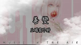 王靖雯 - 善變『從前你穿越風雨 都會倉促見一面』【動態歌詞】