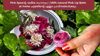 100% natural Pink Lip Balm at home ചുണ്ടിൻ്റെ എല്ലാ പ്രശ്നങ്ങൾക്കും Anjali's Curryworld