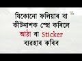 চাহ গছৰ বাবে সহজে উন্নত মানৰ ফলিয়াৰ কেনেকৈ প্ৰস্তুত কৰিব how to prepare foliar for tea plant