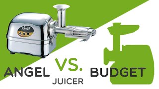 Angel Saftpresse vs. Budget Entsafter