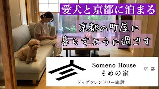 〜愛犬と京都に泊まる〜京都に暮らすように過ごせる宿　そめの家　@kokopichannel7168