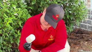 How Termite Bait Stations Protect Your Home | Palmetto Exterminators Explains
