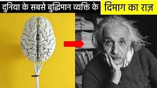 Albert Einstein का दिमाग क्यों था खास ? How Albert Einstein Brain Is Really Different Than Others l