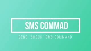 Step 4 Send SMS Command