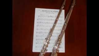 【フルート4重奏】スタジオジブリ for 4 Flutes