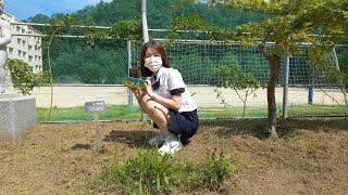 1403 권수희 학교 숲 친구 소개 (기술 수행평가)