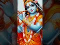 krishna bhajan din gelo miche kaje shatonaam song krishnasong ytshorts