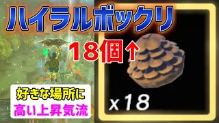 好きな場所に高い上昇気流を出す方法　ハイラルボックリ「18個以上」取れる場所　攻略　ゼルダの伝説　ティアーズ オブ ザ キングダム　　ティアキン