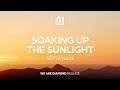 SRTW, nourii - Soaking up The Sunlight