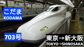 こだま 703号 車窓 (東京→新大阪) N700a運行