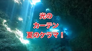 洞窟ダイビング・サメ現る！光のシャワー