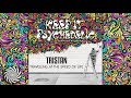 Tristan - Travelling At The Speed Of Life