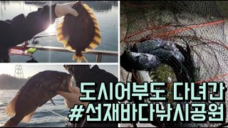 🐟도시어부도 다녀간 요즘 핫한 낚시터! 선재바다낚시공원에가다 (폐장없는 유료낚시터)