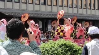 東北絆まつり２０１７　山形花笠まつり①