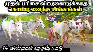 புதுக்கோட்டை(மா) ரெத்தினகோட்டை பந்தயம்||09/12/2020||Rethinakottai panthayam Rekala race today