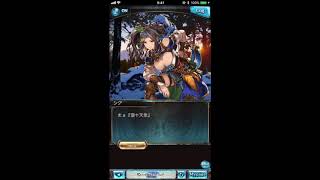 グラブル_限定ボイス_シグ_正月2018