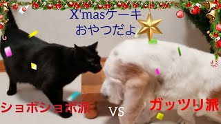 X'mascake(手作り)仲良くX'mas　緑内障バセットハウンド犬と猫Glaucoma Basset Hound and Cat