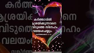 എല്ലാം തകർന്ന അവസ്ഥയിൽ ദൈവത്തിൽ പ്രതീക്ഷ അർപ്പിക്കുവിൻ