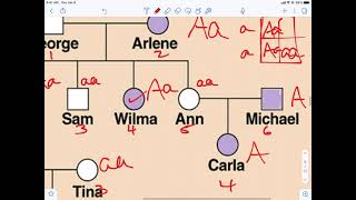 Pedigree Genotype Example